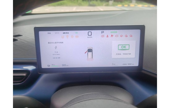 BYD Seagull EV, 2025, пробіг 5,6 тисяч км