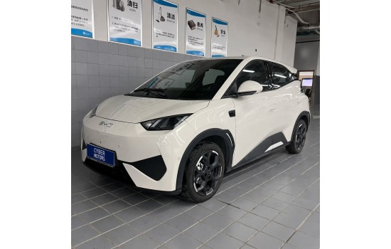 BYD Seagull EV, пробіг 7,6 тисяч км