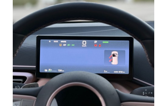 BYD Seagull EV, 405km Fly, 2025, пробіг 9 тисяч км