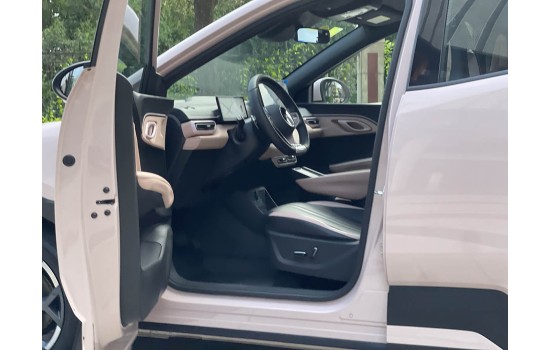 BYD Seagull EV, 405km Fly, 2025, пробег 9 тысяч км