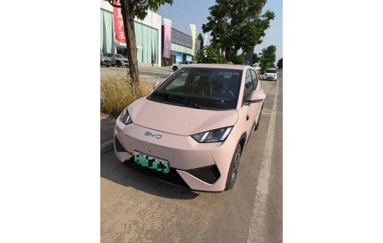 BYD Seagull EV, 405km Fly, 2025, пробіг 9 тисяч км