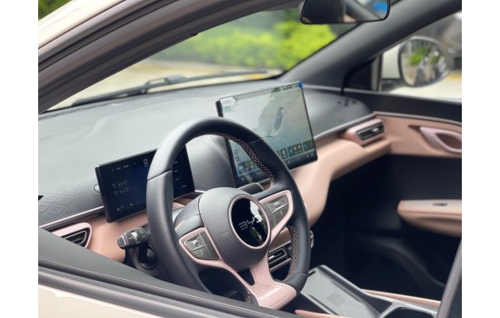 BYD Seagull EV, пробіг 9,1 тисяч км