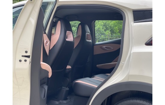 BYD Seagull EV, пробіг 9,1 тисяч км