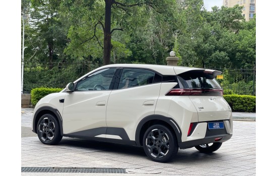 BYD Seagull EV, пробіг 9,1 тисяч км