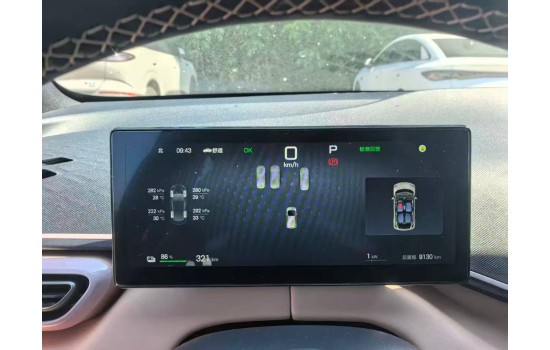 BYD Seagull EV, пробіг 9,1 тисяч км