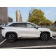 BYD Song L DMi, 160km Beyond, 2025, пробіг 1,4 тисячі км