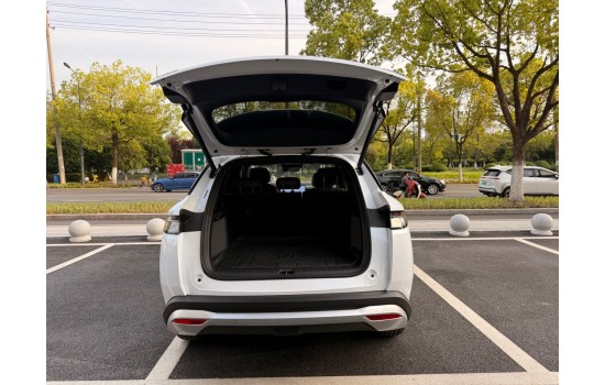 BYD Song L DMi, 160km Beyond, 2025, пробіг 1,4 тисячі км