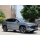 BYD Song L DMi 160KM Excellence, 2025, пробіг 13,5 тисяч км