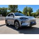 BYD Song Plus EV, 605 км Flagship, 2024 (8)