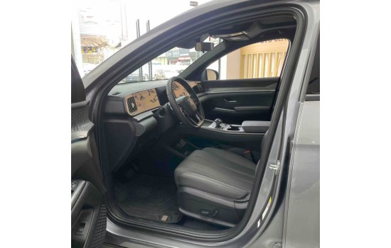 BYD Song Pro DM-i, 2025 (2)