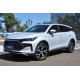 BYD Tang DM-i White