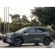 BYD Tang L EV 2025