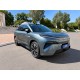 BYD Tang L Dmi, Drone Player, гібрид, 2025, пробіг 4,5 тисячі км