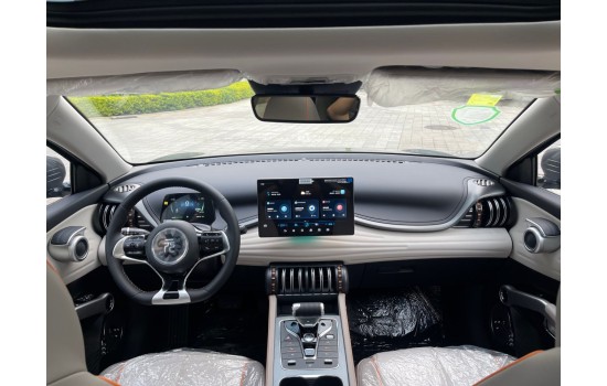 BYD Yuan Plus Grey 2024