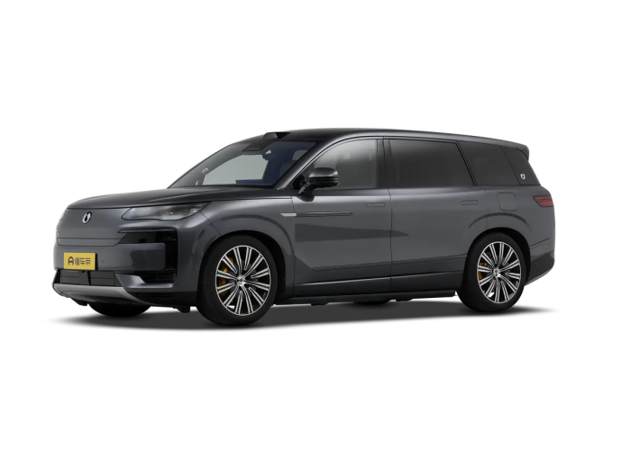 Denza N9 Grey