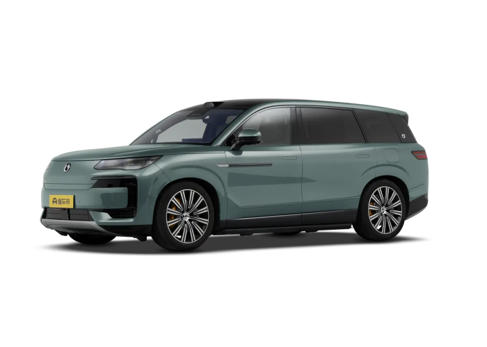 Denza N9 Green