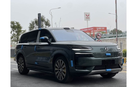 Denza N9 Green