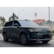 Denza N9 Green