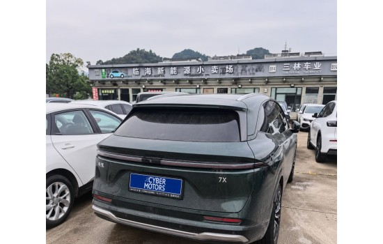 ZEEKR 7X, 2WD  Max (75kwh),  прозора плівка по кузову, 2025, модель 2026 року